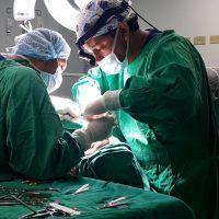 Dr. Ali Adibfar, MD, DDS Mommy Lift Plastic Surgery Photo